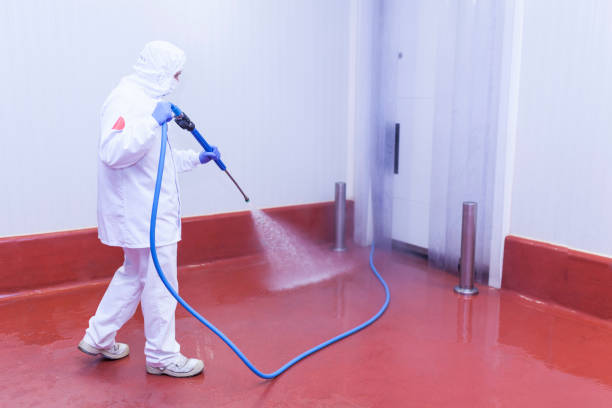Pre-Holiday Cleaning in Cherokee Village, AR